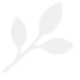 icon-leaf-sand